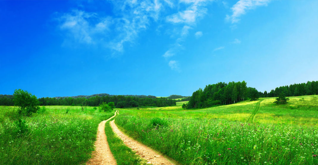 Fermier doljean: În cinci ani străinii vor ajunge să deţină tot pământul României