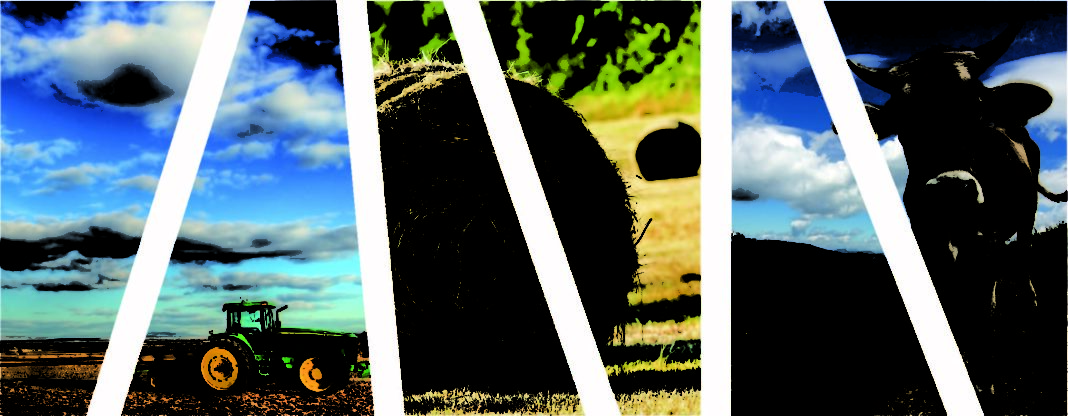 AFIR: sfaturi pentru fermierii care vor să acceseze fonduri europene