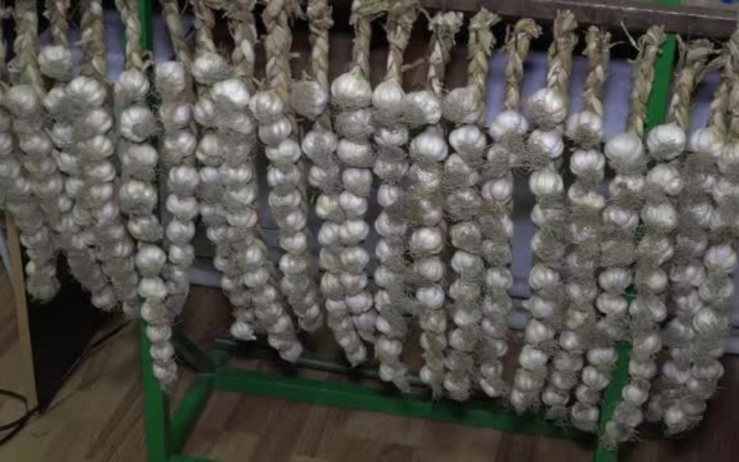 Usturoi Copălău, Botoșani Usturoi Copălău, Botoșani