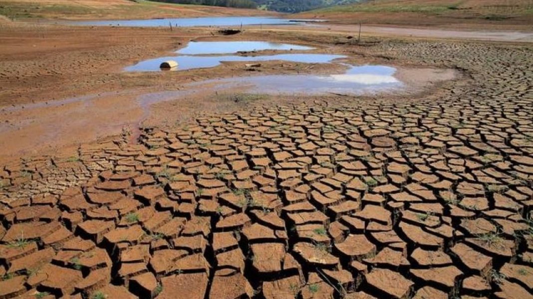 Fermierii suedezi se confruntă cu o secetă fără precedent