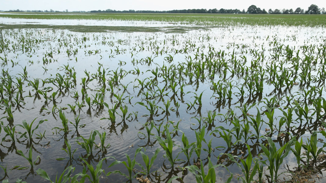 Floods Hit Germany: Northern Elbe River Region