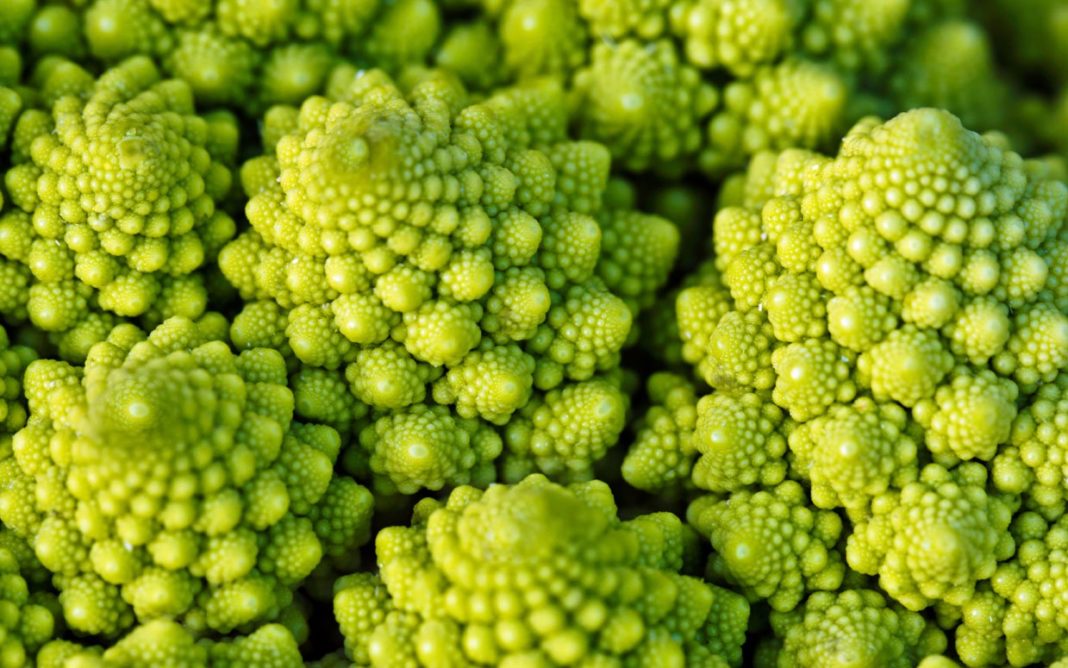 Romanesco, planta care exemplifică fractalii