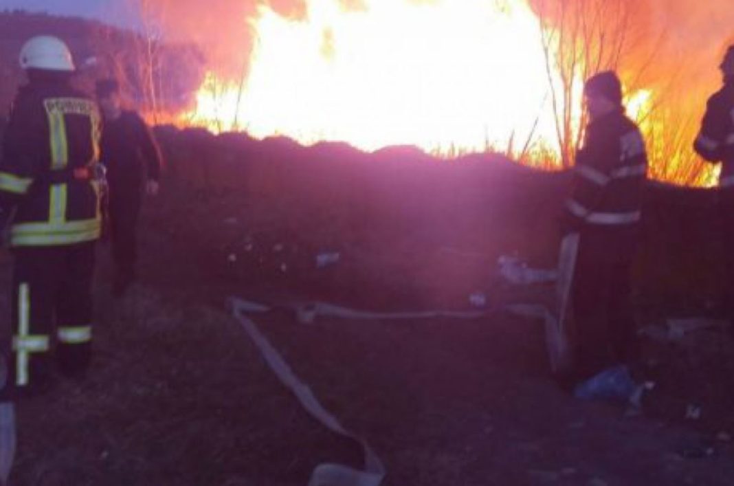 incendiu ferme porci peris