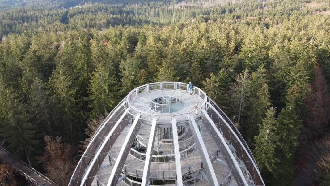 Parcului Național ”Pădurea Bavareză” asistă Fundația Conservation Carpathia să conserve pădurile virgine din România