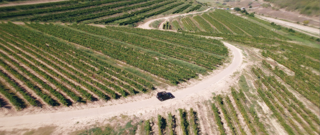 randuri de vie OSTROV