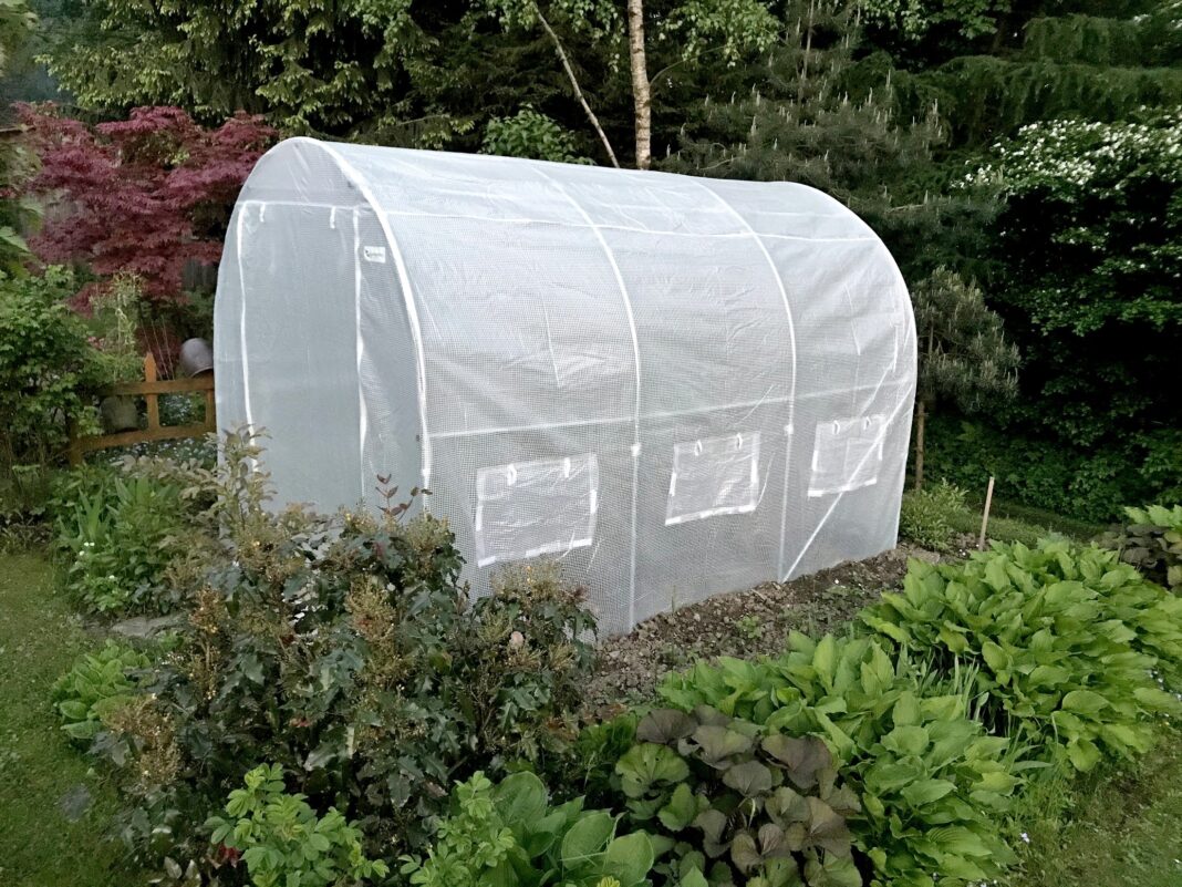 Legume organice? De preferință din propria grădină!