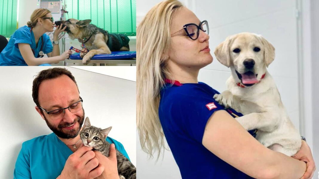 Patrupet – educație, prevenție, terapie. Știați că în România a fost înființată prima clinică veterinară de hemodializă din Europa de Est? Ce s-a întâmplat mai departe