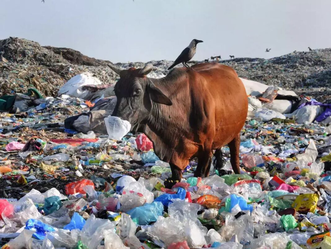 Sistemul alimentar ar putea încălzi clima cu aproape 1 grad Celsius până în 2100