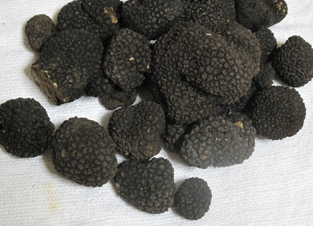 trufe negre