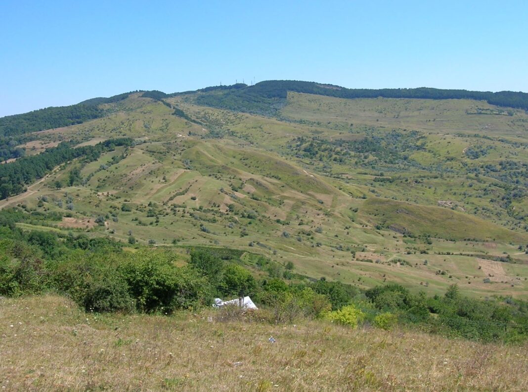 Dealul Istriţa: 50 de hectare de pădure de pin mistuite de flăcări, reîmpădurite cu foioase