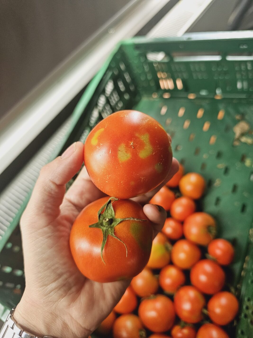 Facilităţile pentru angajaţii din IT, construcţii şi agricultură, eliminate