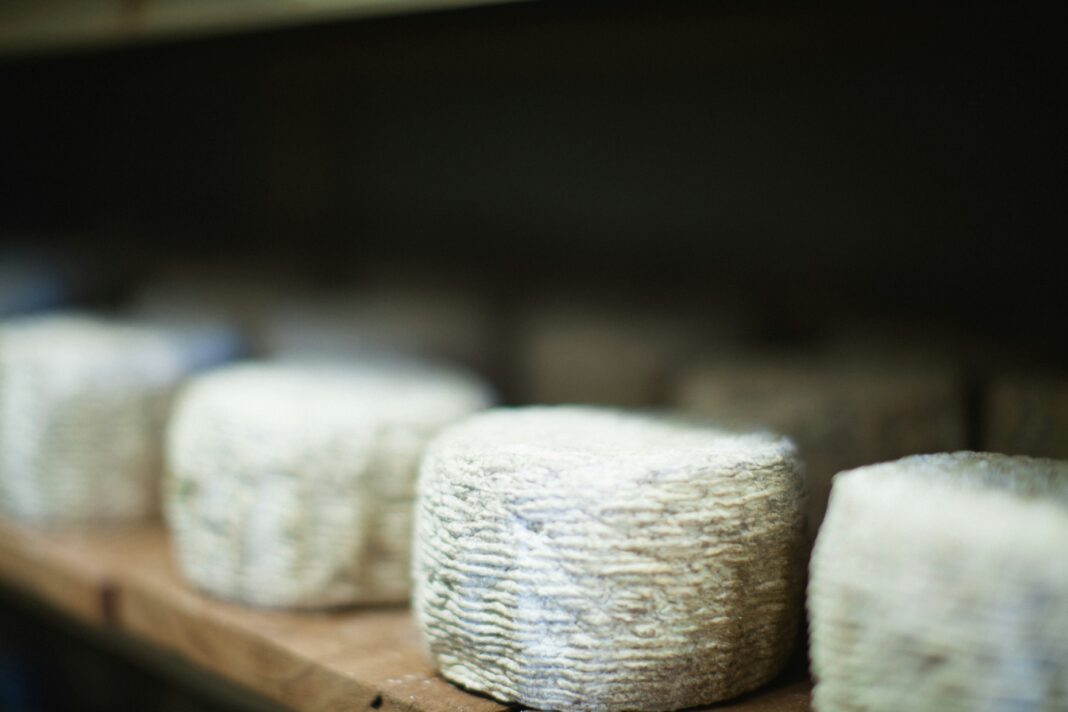 Brânzeturile de Capră: Alegerea cu cel mai puțin colesterol