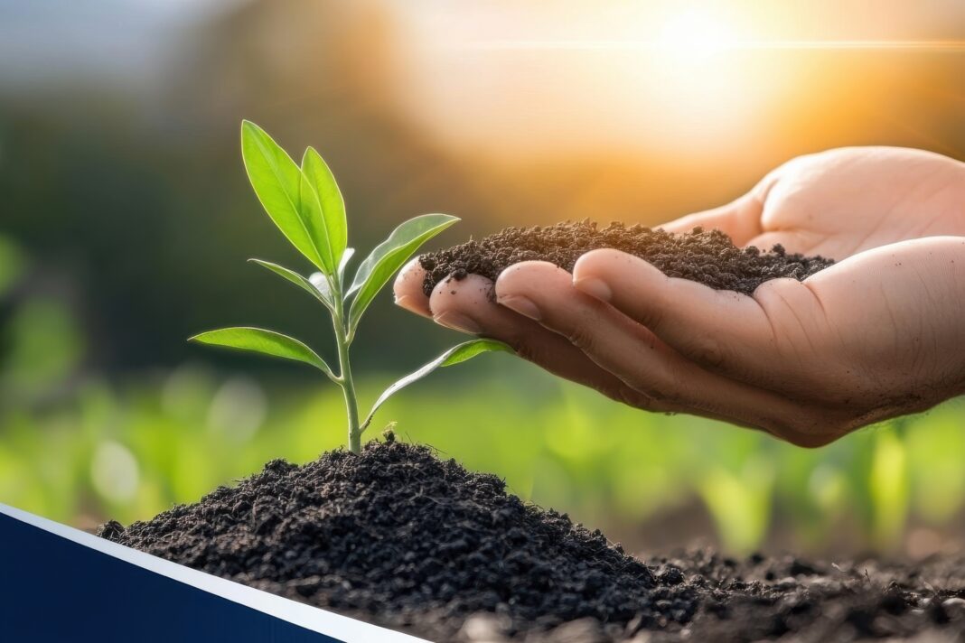Nano fertilizers in agriculture enhancing crop growth and soil health through advanced nanotechnology applications.. agricultura investitii digitalizare