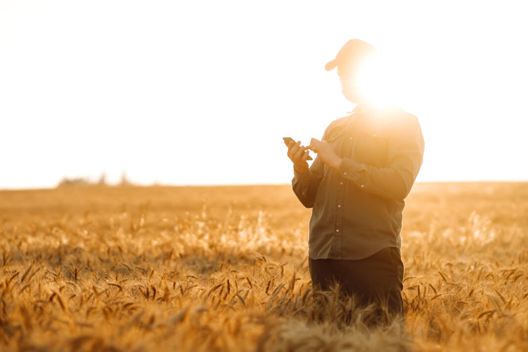 Farmer in sterile medical masks with phone in the field. Smart farm. The concept of the agricultural business. Covid-19.
