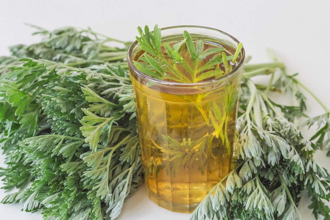 De ce să consumi ceai de pelin?