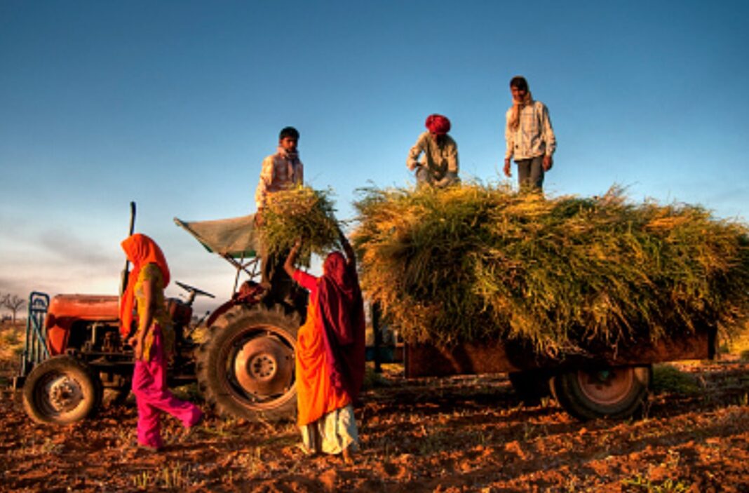 Narendra Modi: „Nu vom face compromisuri privind bunăstarea fermierilor indieni”