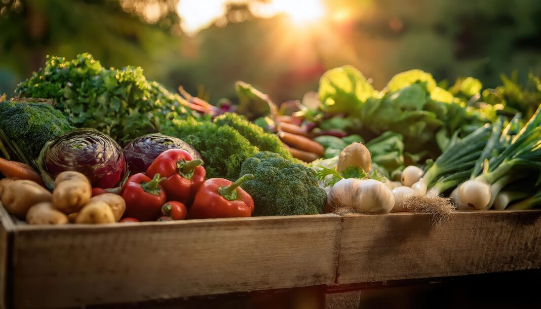 De ce aleg tot mai mulți români produsele bio: tendințe în agricultura ecologică din 2025