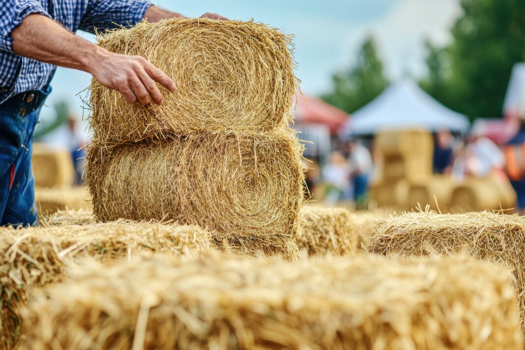 Farmer stacking square hay bales at a rural agricultural fair, wearing blue jeans and plaid shirt, demonstrating traditional farming practices for the community.