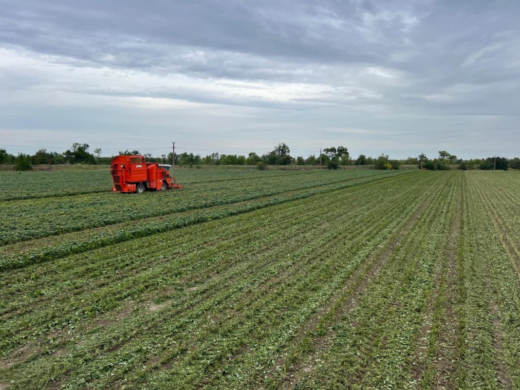 Hortifruct consolidează producția de legume și fructe printr-o strategie vastă de sustenabilitate