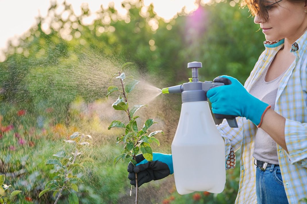 tratamente-fitosanitare-in-agricultura-ecologica-protectia-plantelor-fara-compromisuri