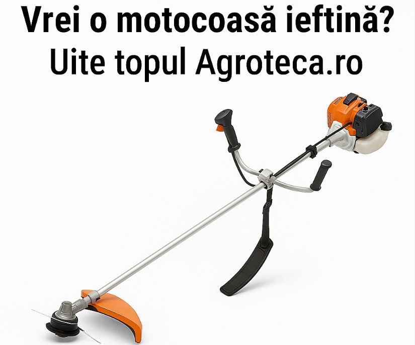 Top 5 motocoase ieftine în România (2026)