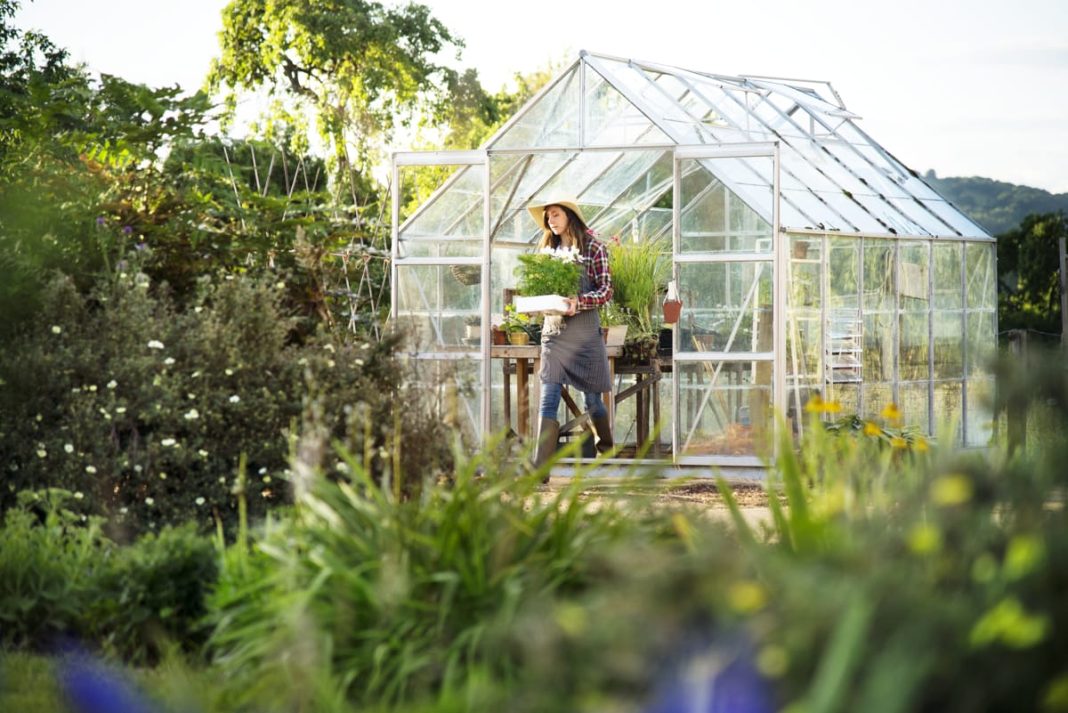Schimbări simple care îți ușurează munca în grădină Schimbări simple care îți ușurează munca în grădină