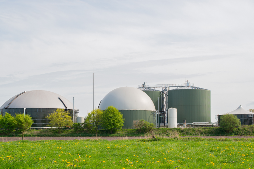 Gunoiul de grajd devine resursă energetică: Finlanda transformă deșeurile agricole în biogaz Gunoiul de grajd devine resursă energetică: Finlanda transformă deșeurile agricole în biogaz