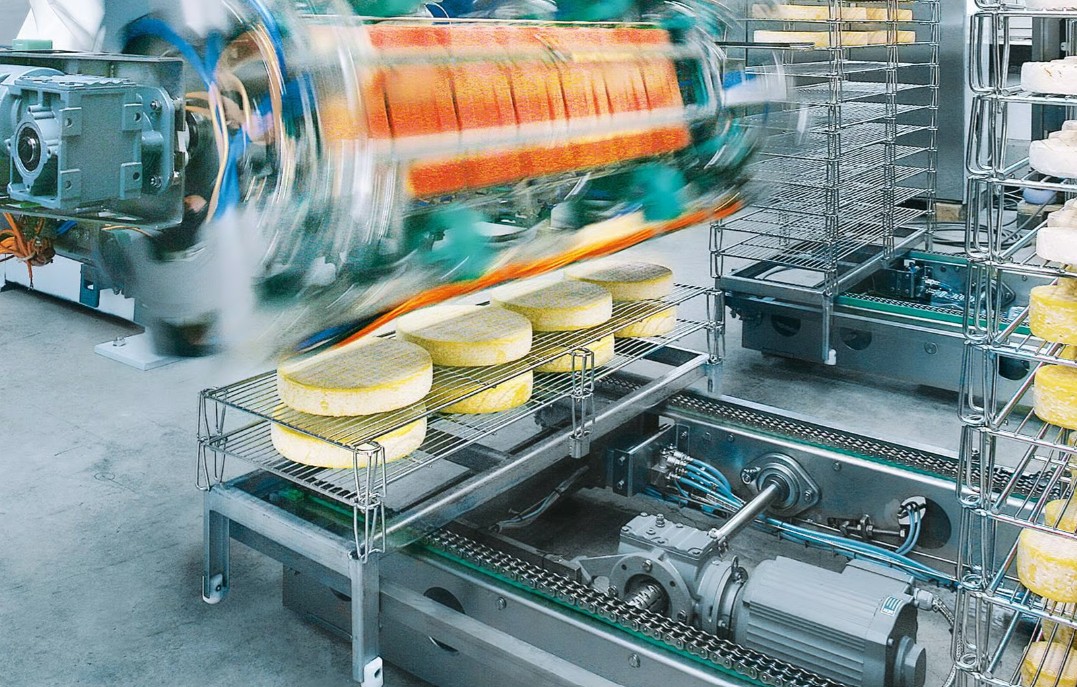 industrie alimentara, branza